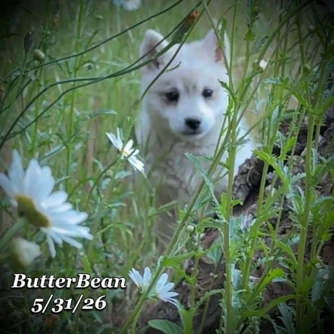 05-31 j butter 7651ebcb-9a19-41bf-bab6-d5cd20b40fa7.jpg