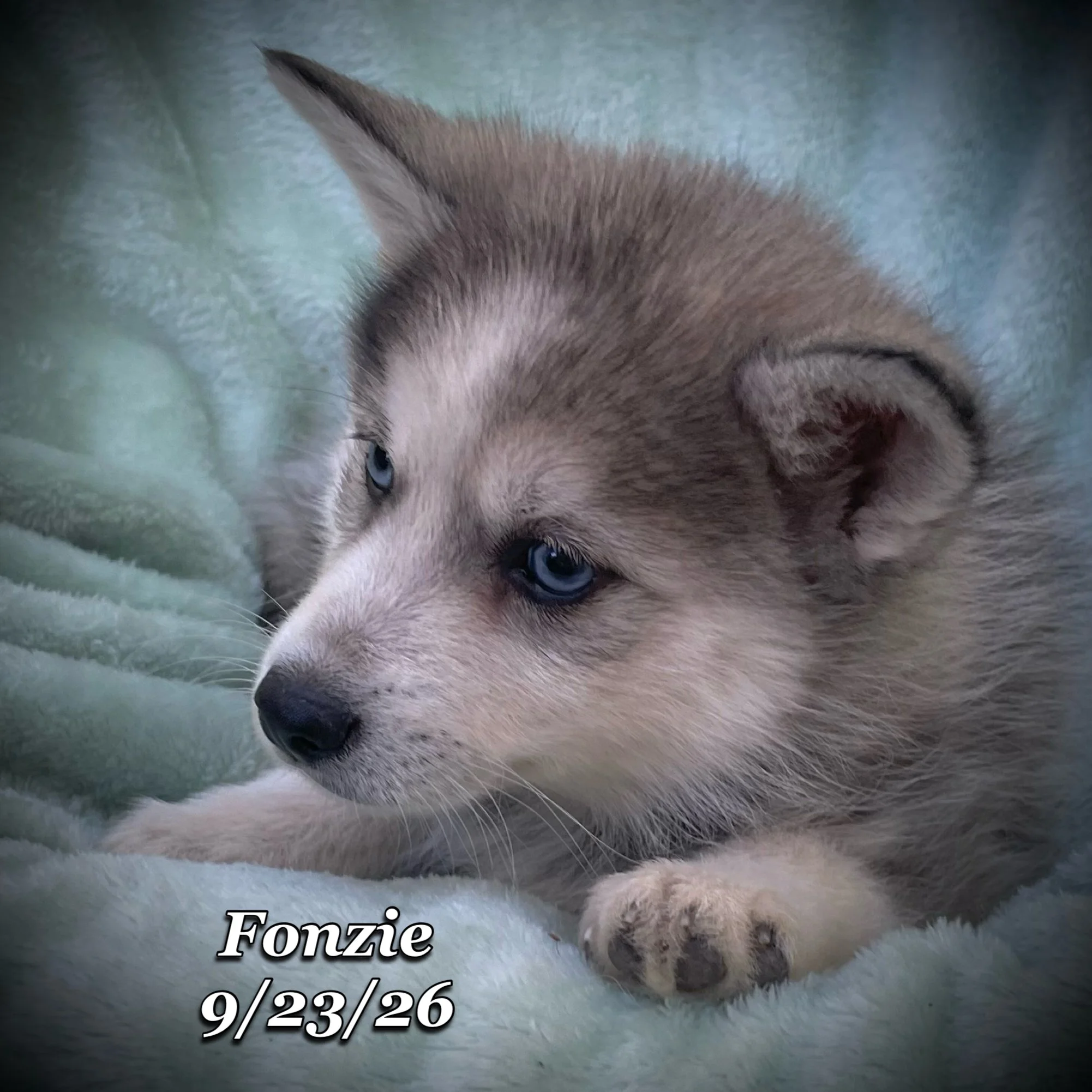09-23 d fonzie phonto 73.JPG