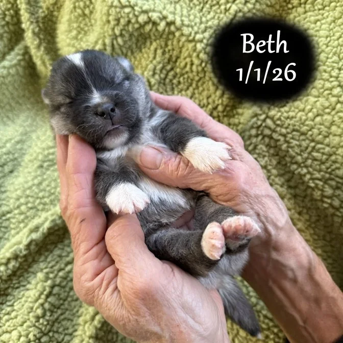 01-01 s beth f79bf9e4-aac0-4e89-9011-ceb5f92a9db7.jfif