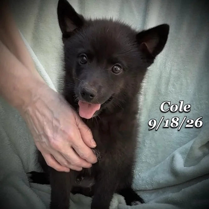 09-18 cole b5867513-0e0a-42b3-94e4-6dcde44d9b3b.jpg