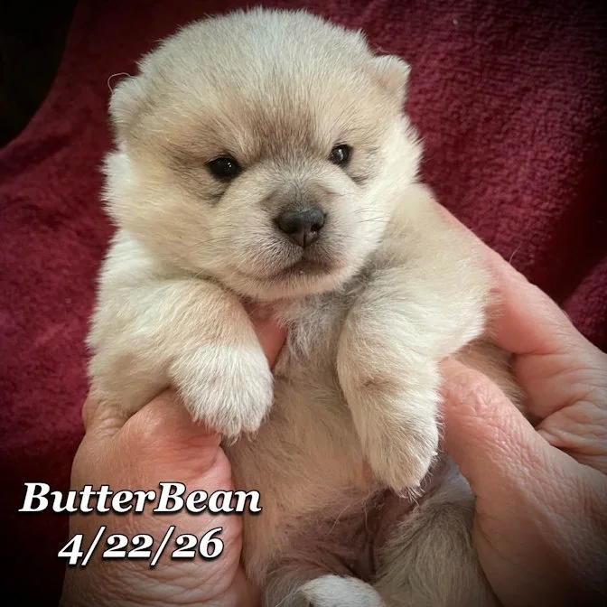 04-22 j butter 11d5e7ee-9432-4734-b5b1-f21be154dfd5.jfif