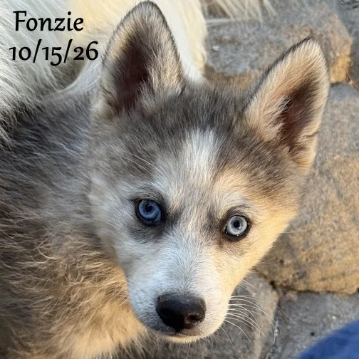 10-15 fonzie 01.jpg