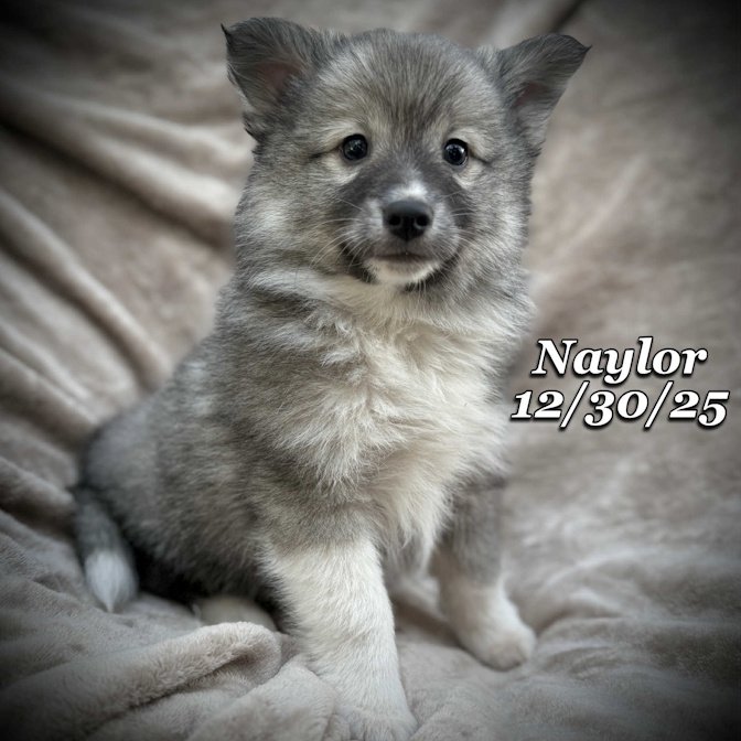 12-30 naylor a308c04c-3e8d-4a98-a915-c501a64aeb01.jfif