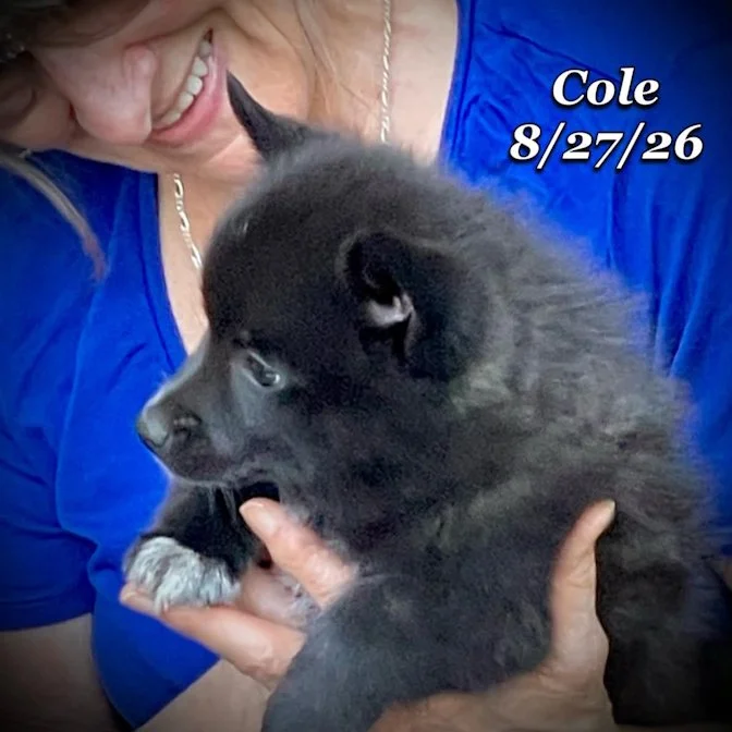 08-27 cole 2a706d1d-0042-488c-962e-fdf3d22f91d9.jpg