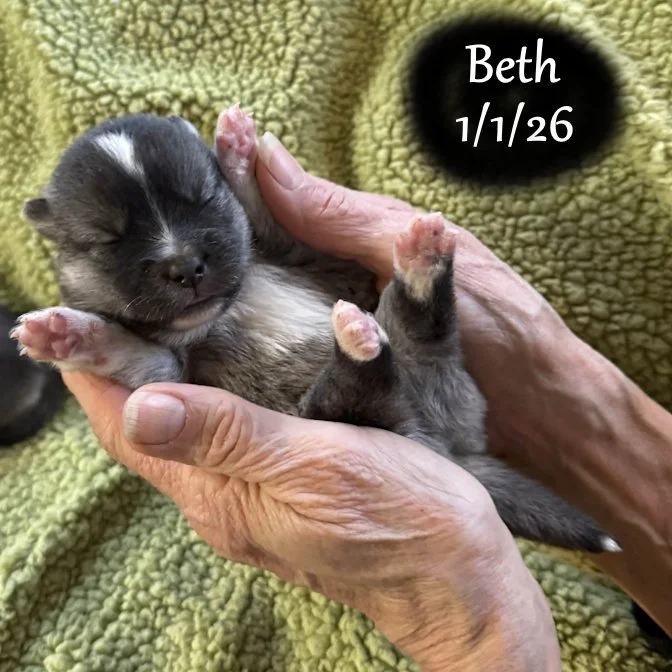 01-01 s beth 23e3d9e7-829c-457a-a958-487d009ec781.jfif