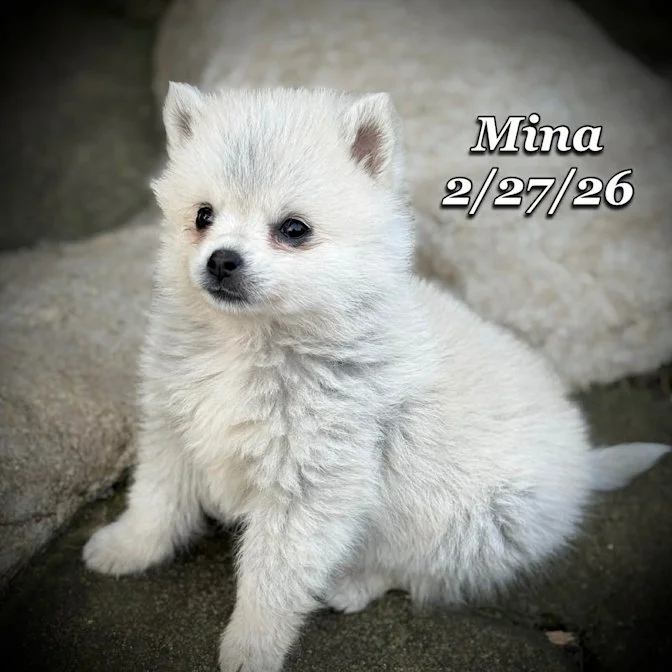 02-27 j mina fea90ffc-7926-483a-9c46-aafd4900f40c.jfif