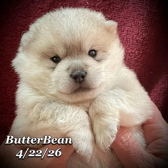 04-22 j butter 237f4355-38e9-42e7-a46c-c8e0293dd18b.jfif