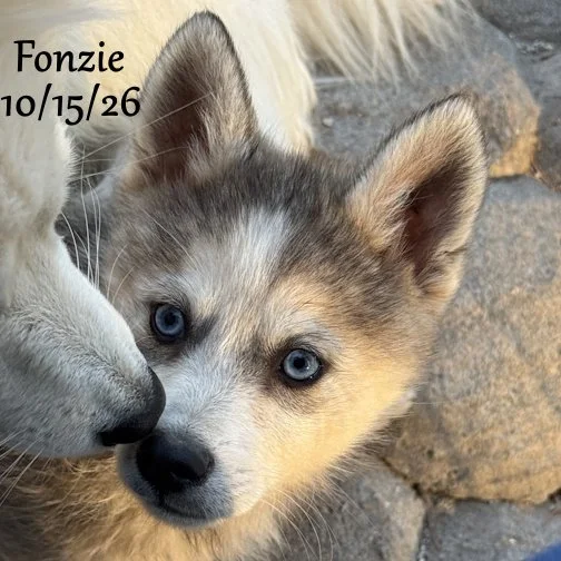 10-15 fonzie 02.jpg