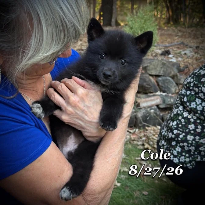 08-27 cole a4397e24-bfaf-47dd-8203-ede5a1f9f734.jpg