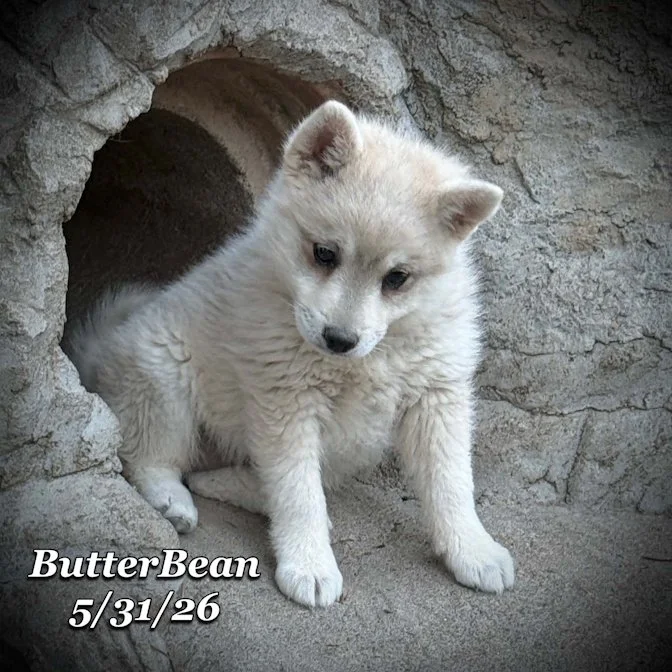 05-31 j butter fd93ef6d-fad5-4908-90bd-6603291a7479.jpg