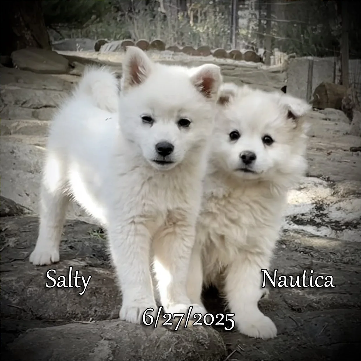 06-27 a Salty-Nautica 2.jpg