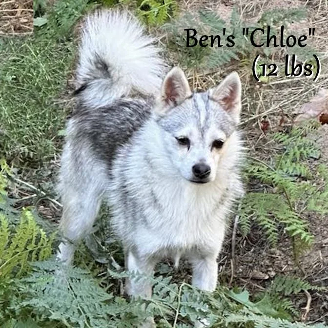 00-chloe 458539712_828149769447470_99567256795901439_n.jpg