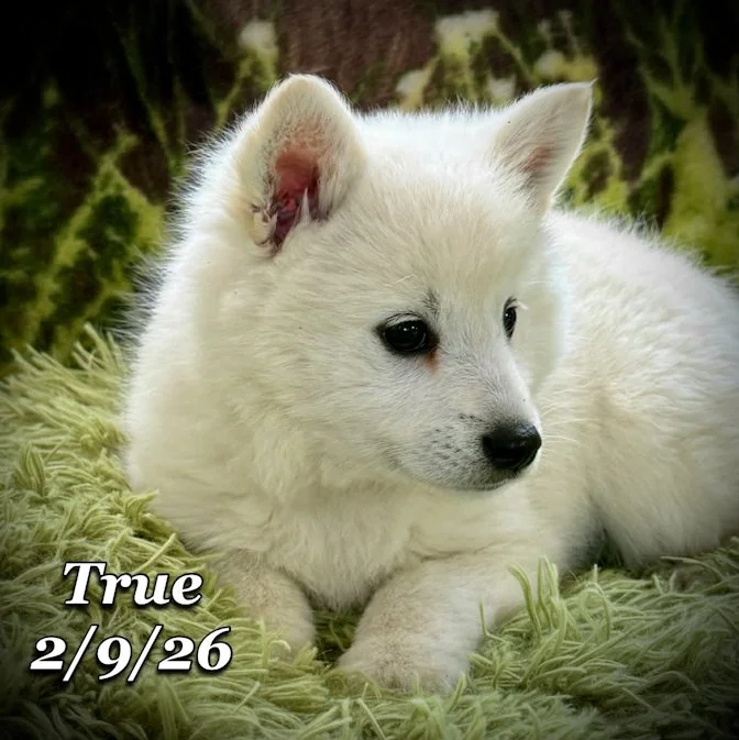 02-09 true d79b2143-7f94-4e89-988c-7c14237fc303.jfif