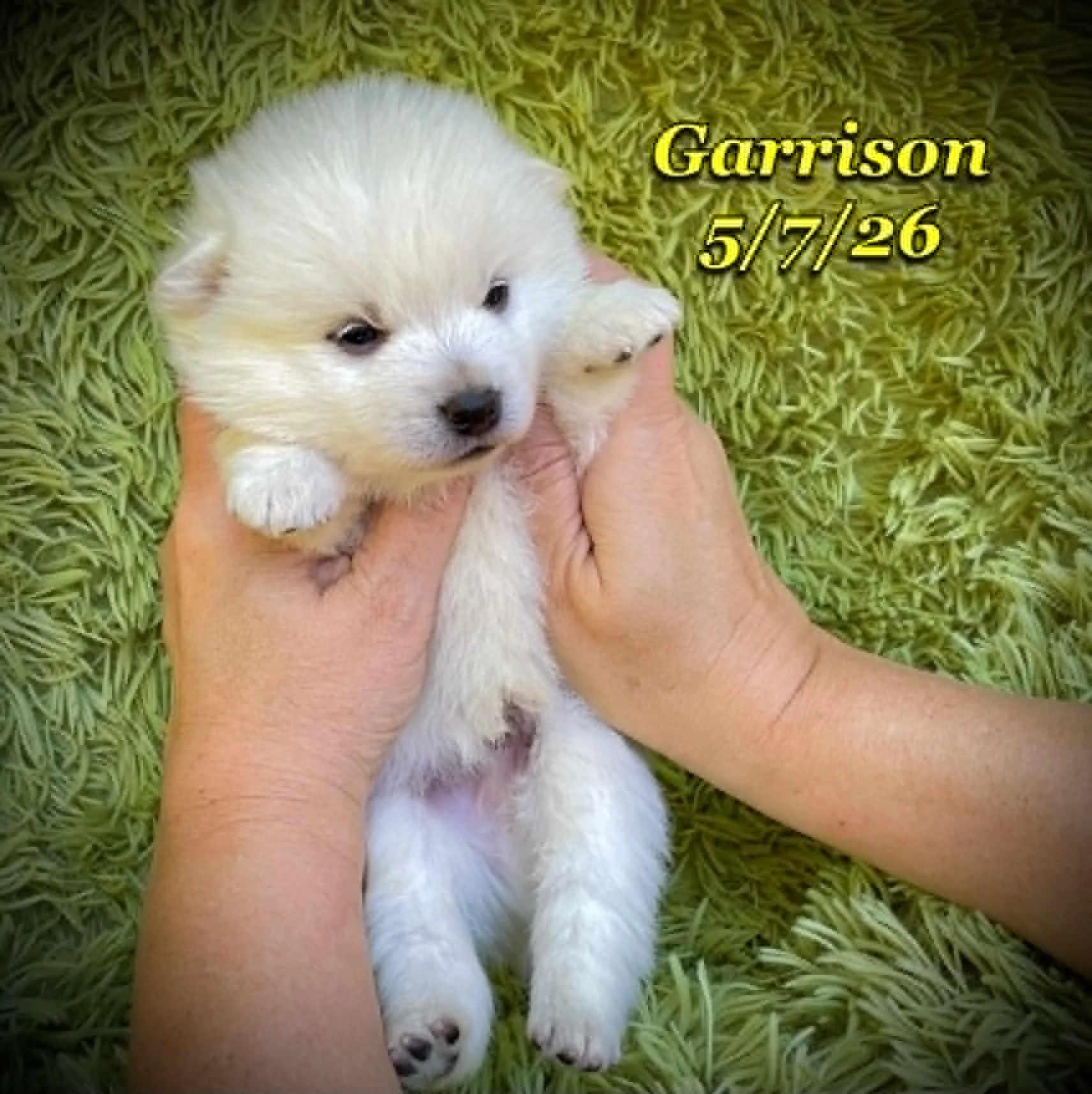 05-07 z garrison 5e43d24b-5514-4d24-8b67-3b4b106881bb.jfif
