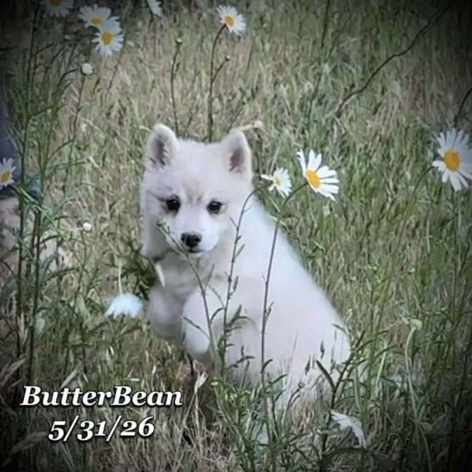 05-31 j butter 04e29378-3b35-49e2-a597-4875b30cd299.jpg