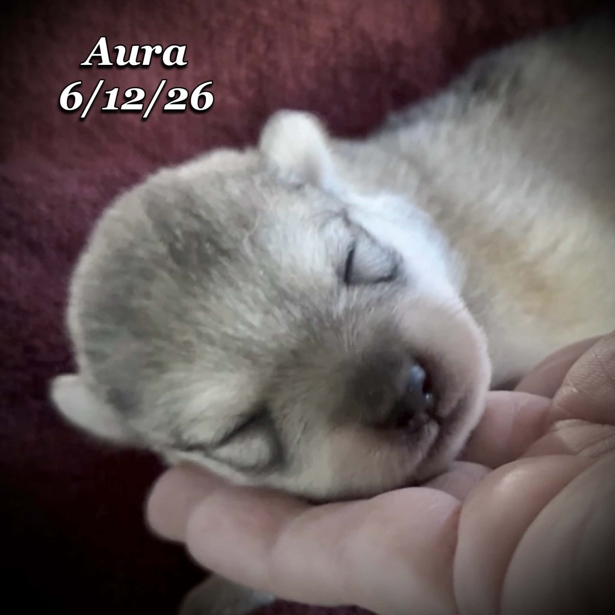 06-12 n aura b5cff3f1-cfa9-4907-a775-c1334524f22c.jfif