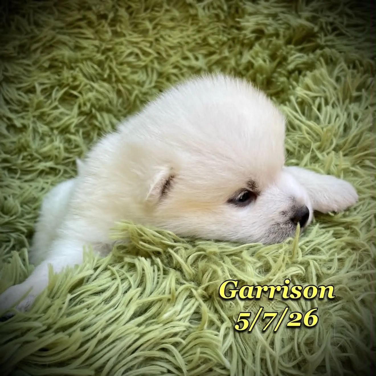 05-07 z garrison ecff8a8d-90d5-4ac8-a9c9-bc64e82195a6.jfif