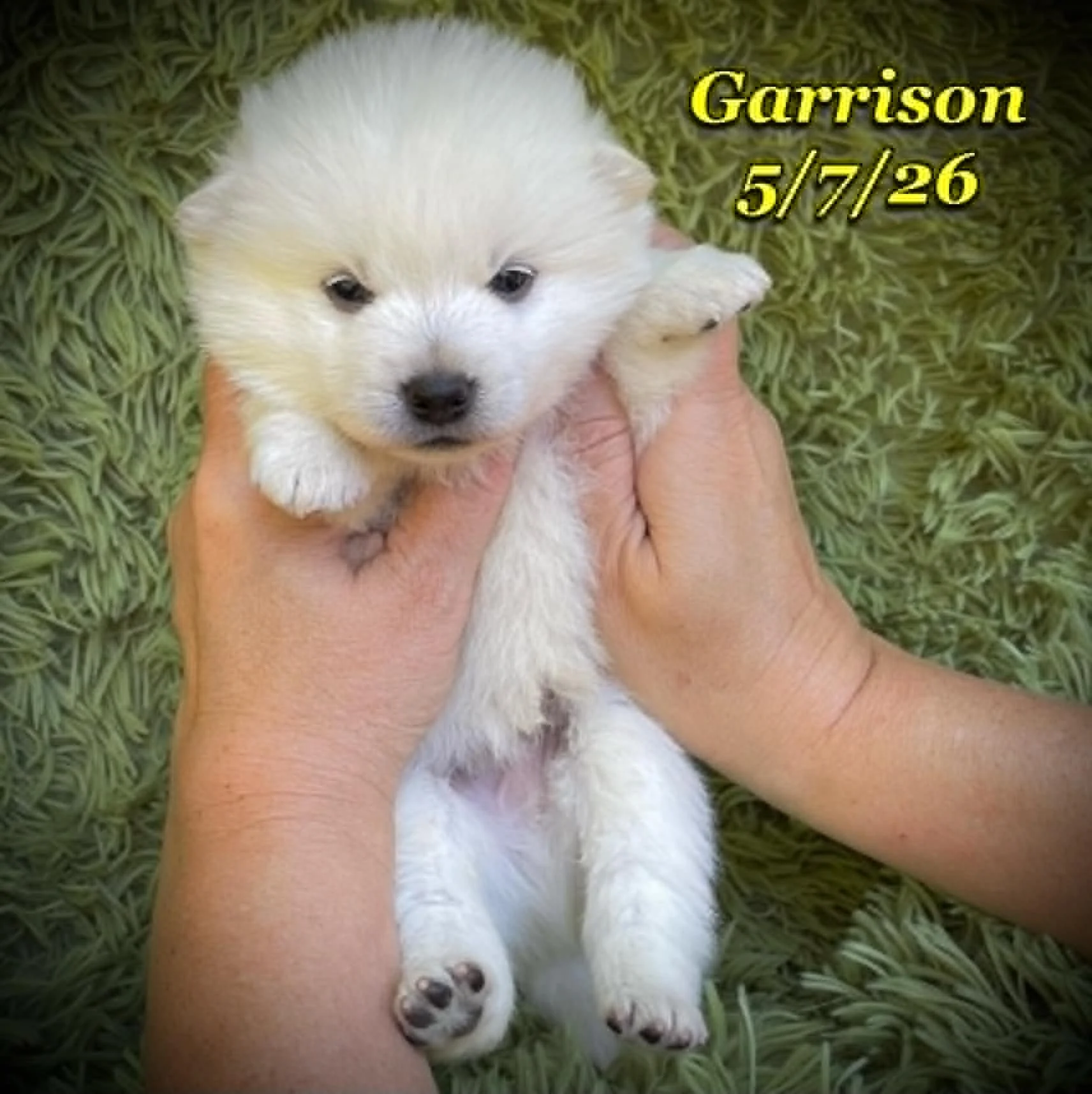 05-07 z garrison f0912cc8-b52a-46a0-85af-2d0a3c92e32a.jfif