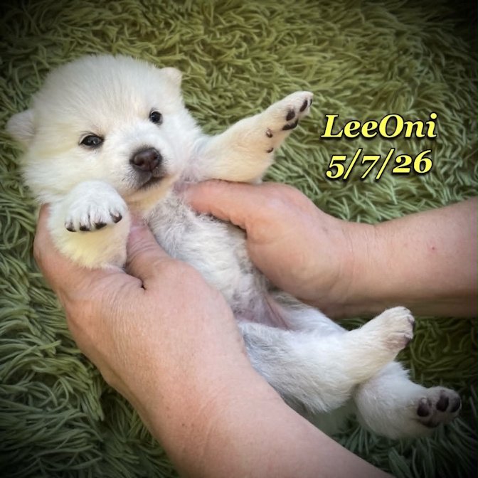 05-07 z leeoni e0ce0072-fa8b-4673-aa13-361bb369bd04.jfif