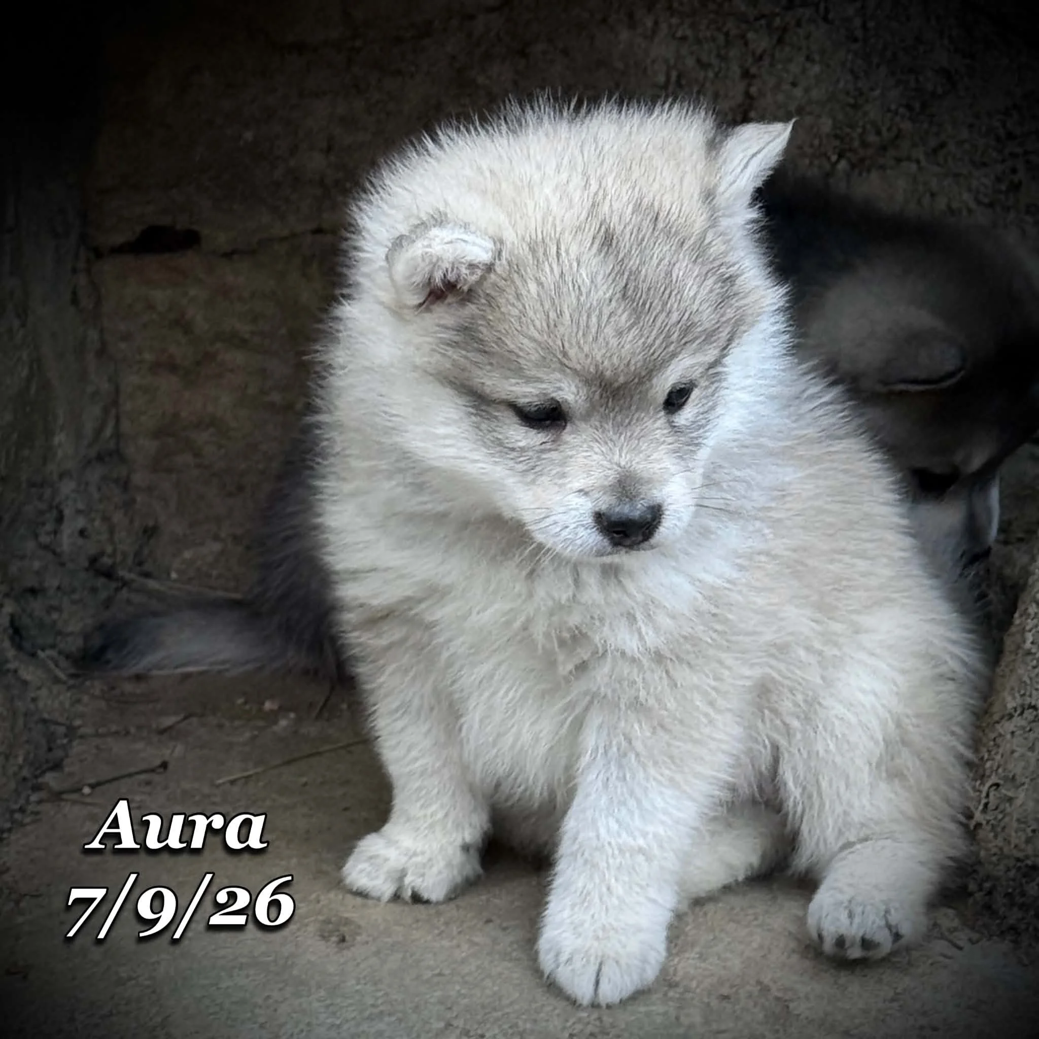 07-09 aura ad72f7c9-bbab-440f-89ba-656ad29ea86b.jfif