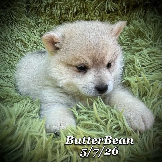 05-07 j butter abbd9add-f1e5-474a-822e-fd791fdfd00f.jfif