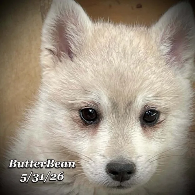 05-31 j butter 640c8bf5-eb15-4660-a56e-fac60aa7d73d.jpg