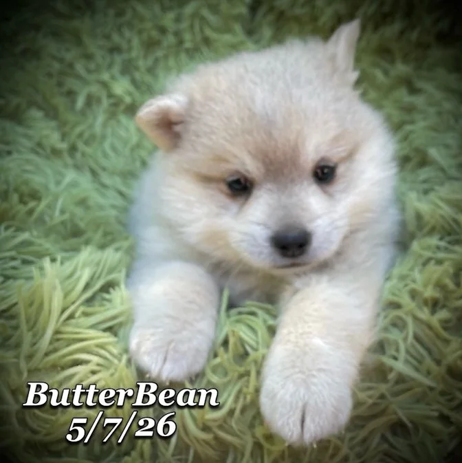 05-07 j butter c6e52f61-a46a-4c06-9f7c-2f3b82d28e8a.jfif