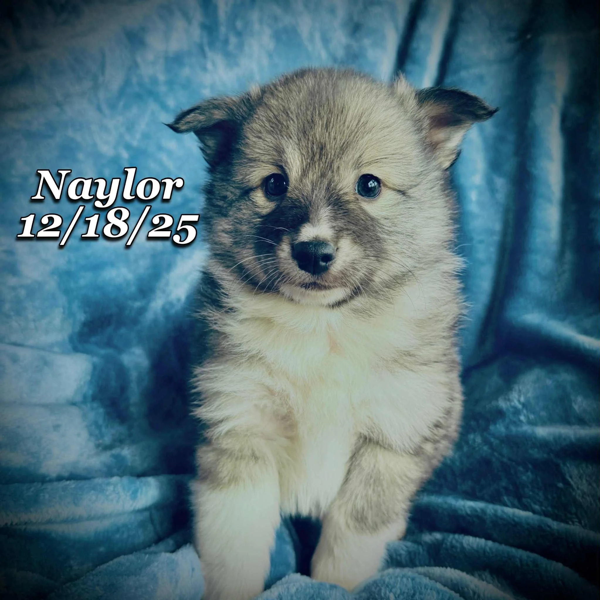 695a8d3d-1f13-4669-9d6f-ed24d4a22d9a.jfif