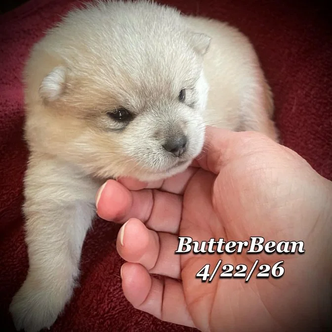 04-22 j butter d3c5c4d2-6840-4b1a-9ea5-e50c87945307.jfif