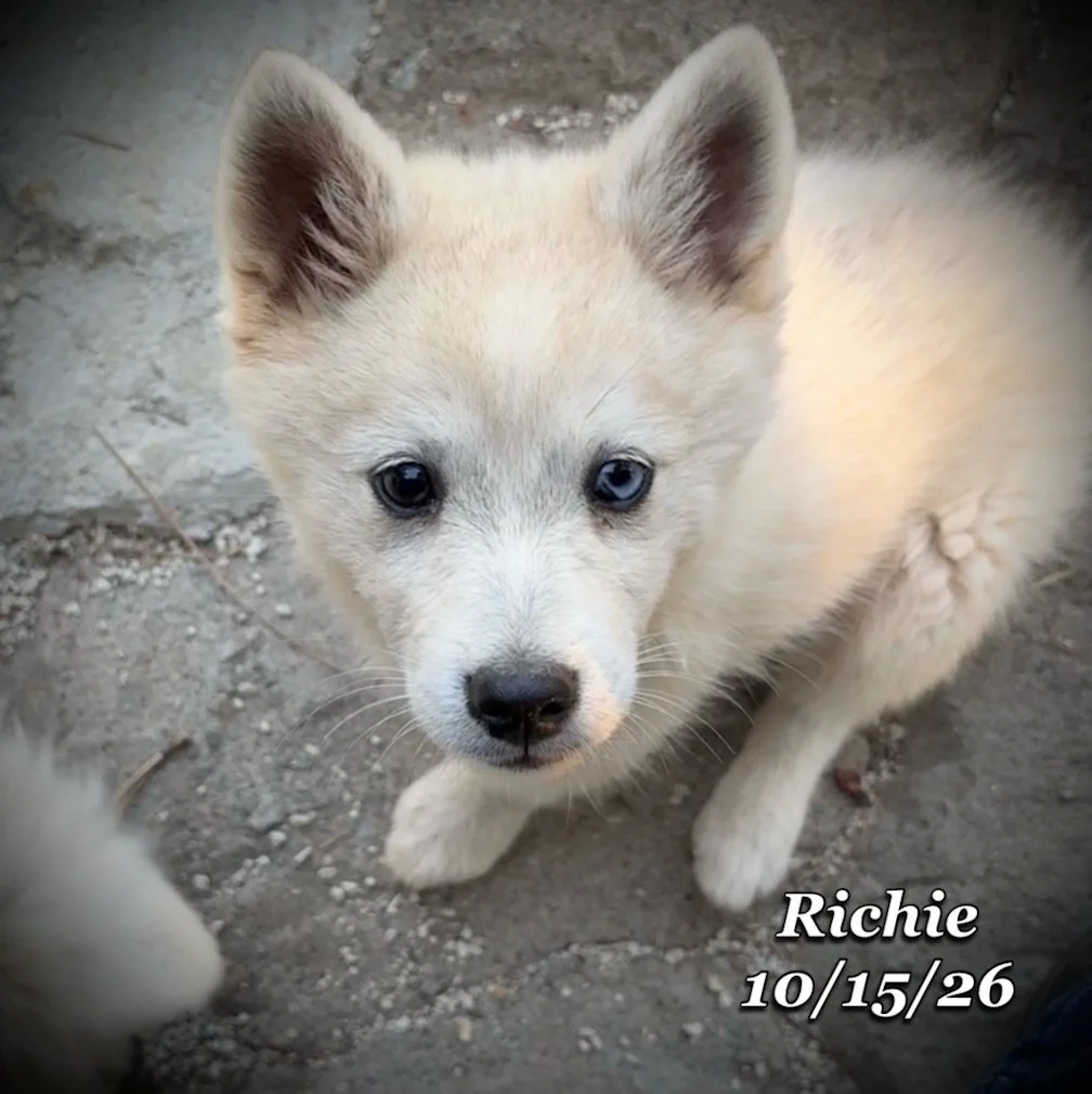 10-15 richie 01.jpg