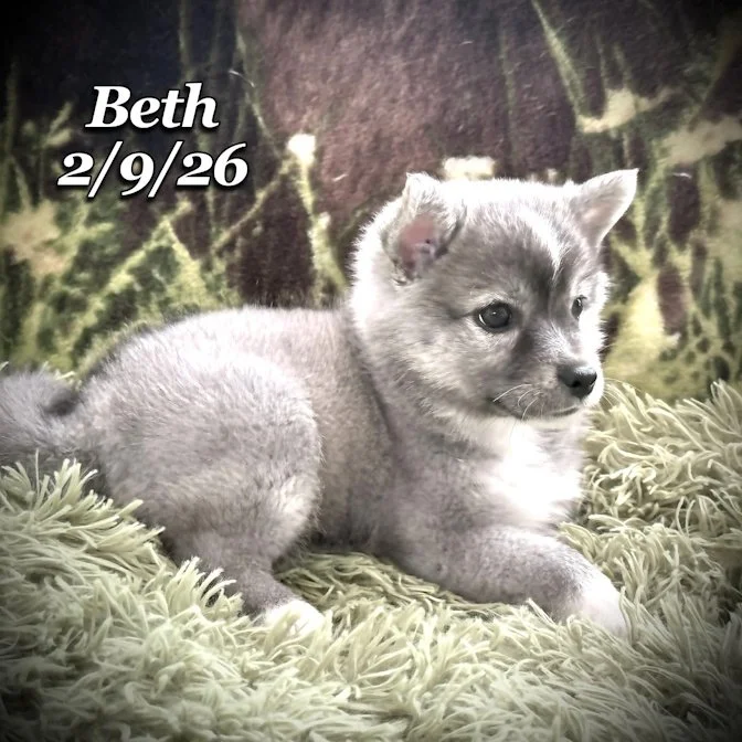 02-09 s beth 1b72f678-d54e-4baa-b1d3-390fbf596fec.jfif