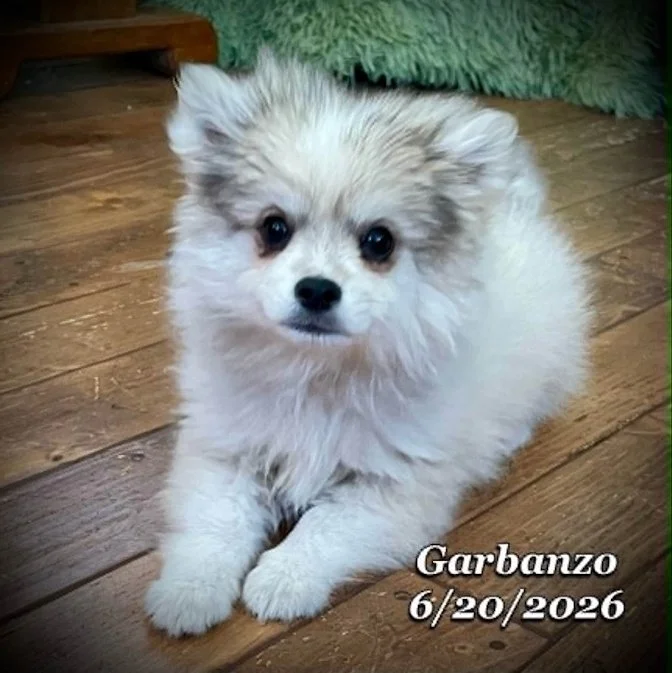 06-20 j garbanzo ff5da3d8-36c1-49ec-b1af-e0803036edae.jpg