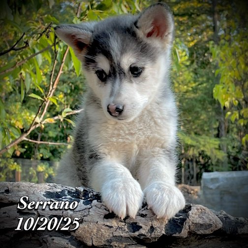 10-20 z serrano phonto 94.JPG