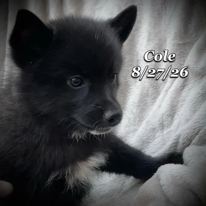 08-27 cole 0d21f152-457c-4472-bd2c-f44fa91dfa11.jpg