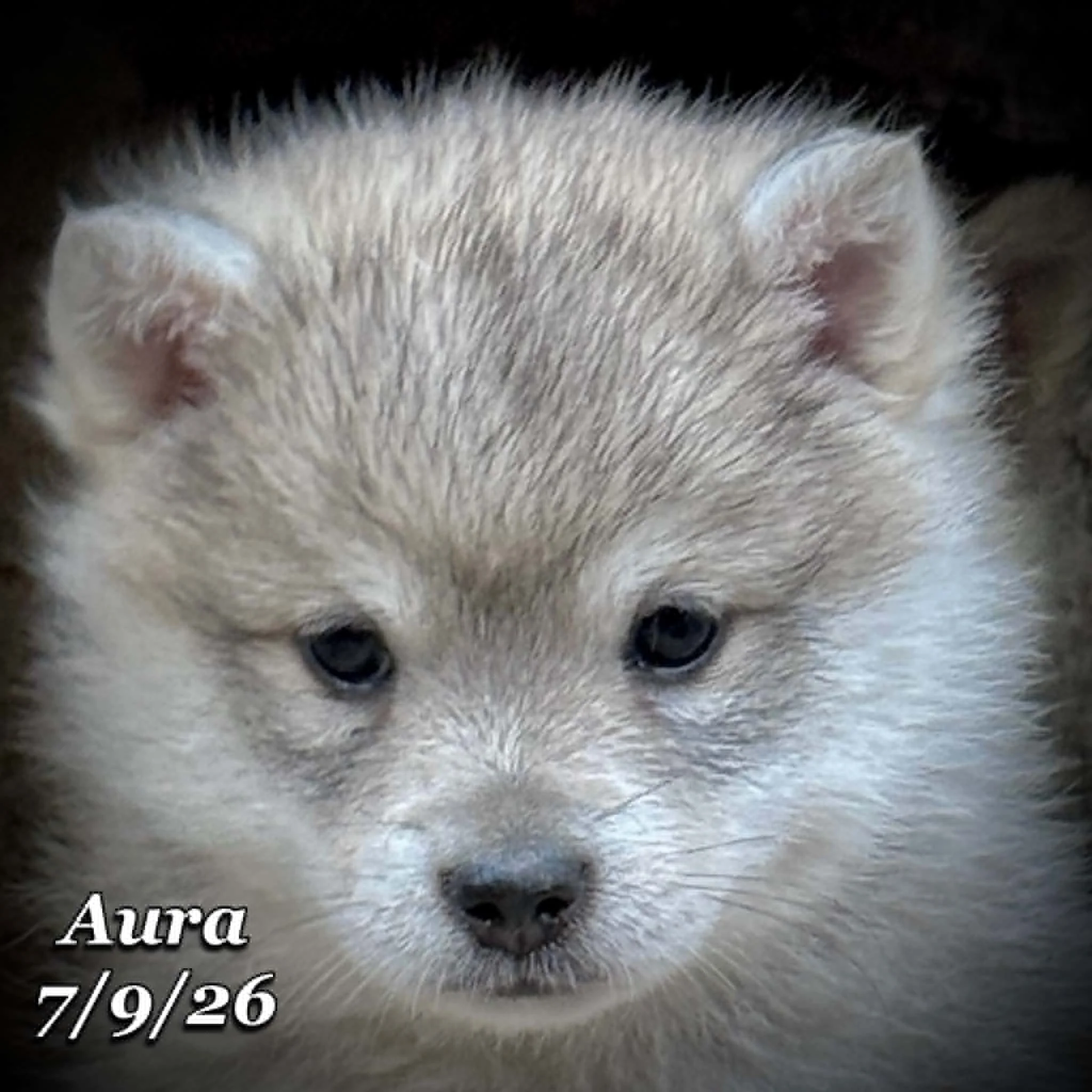 07-09 aura 6fa9fbb9-b9a8-467b-a0bb-da635ed5bb19.jfif