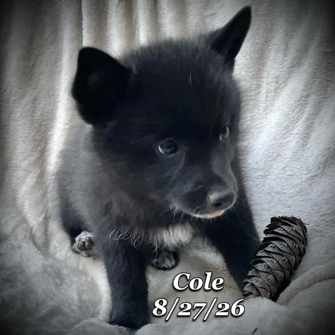 08-27 cole 491d1750-ffcb-4ad9-9931-a2e0e3debb96.jpg