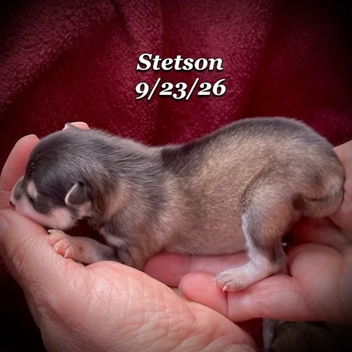 09-23 stetson 02.jpg