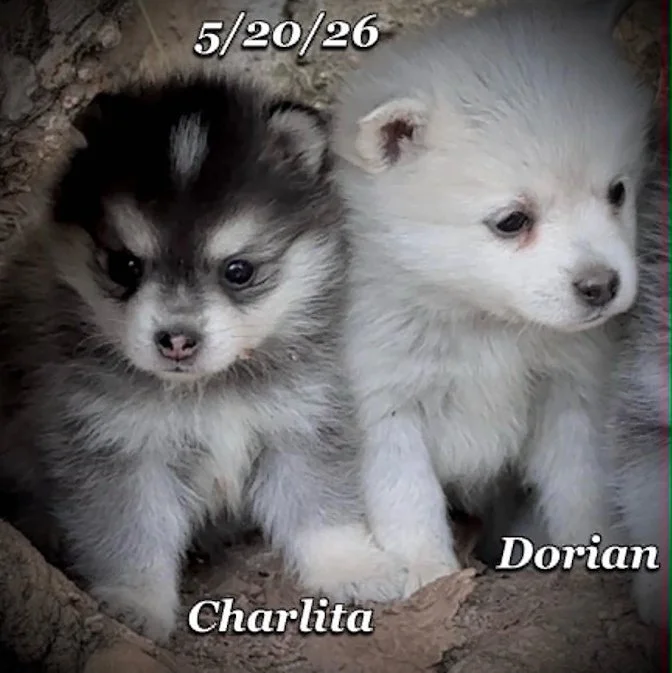 05-20 z charlita db5133e2-585d-4ba4-9bb7-8f20029aeba8.jfif