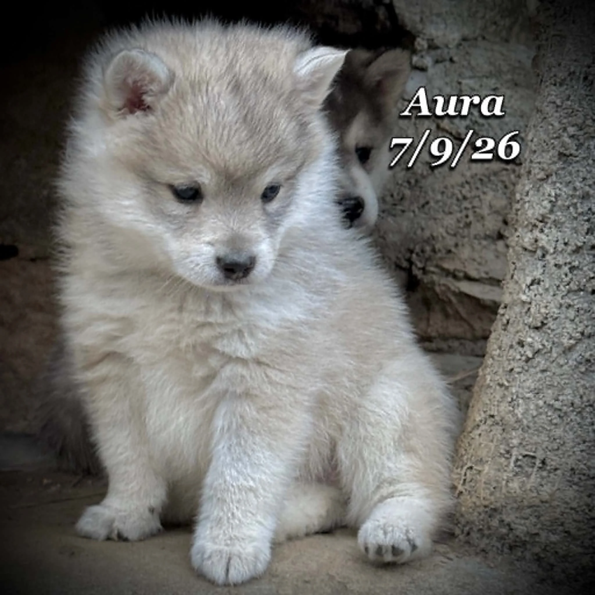 07-09 aura 108a7bba-c0d7-4359-905c-00cb0cb0dd20.jfif
