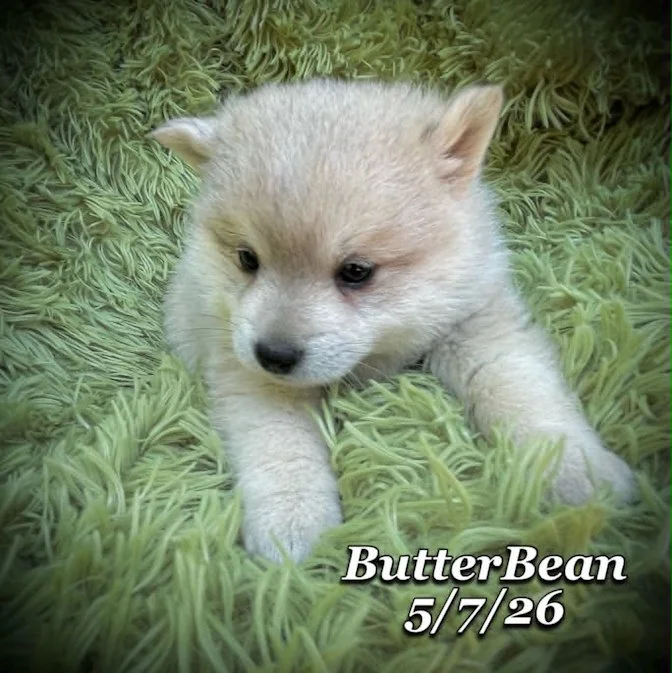 05-07 j butter 4049a2c5-9a36-4b8e-ab4d-a26d017955c3.jfif