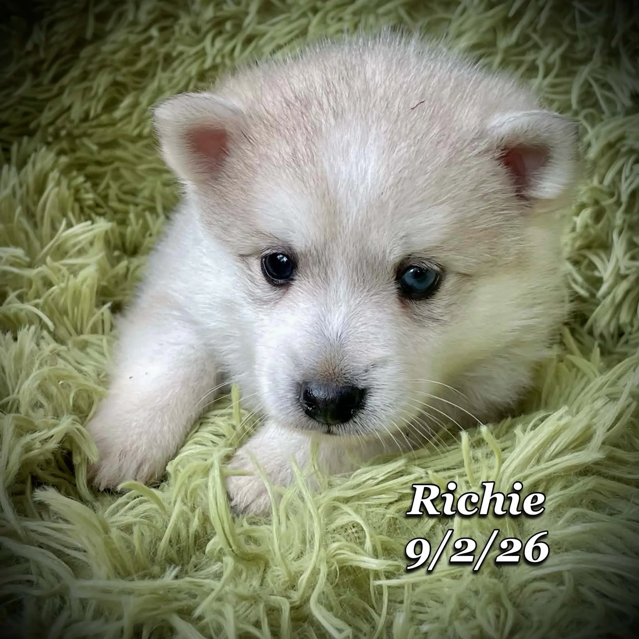 09-02 richie a81aa04e-4d29-466d-8e24-766a359d3631.jfif