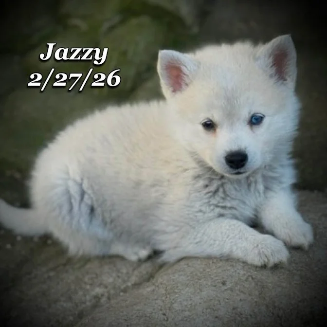 02-27 j jazzy 7effcedd-ce24-43de-9290-f724684127f3.jfif