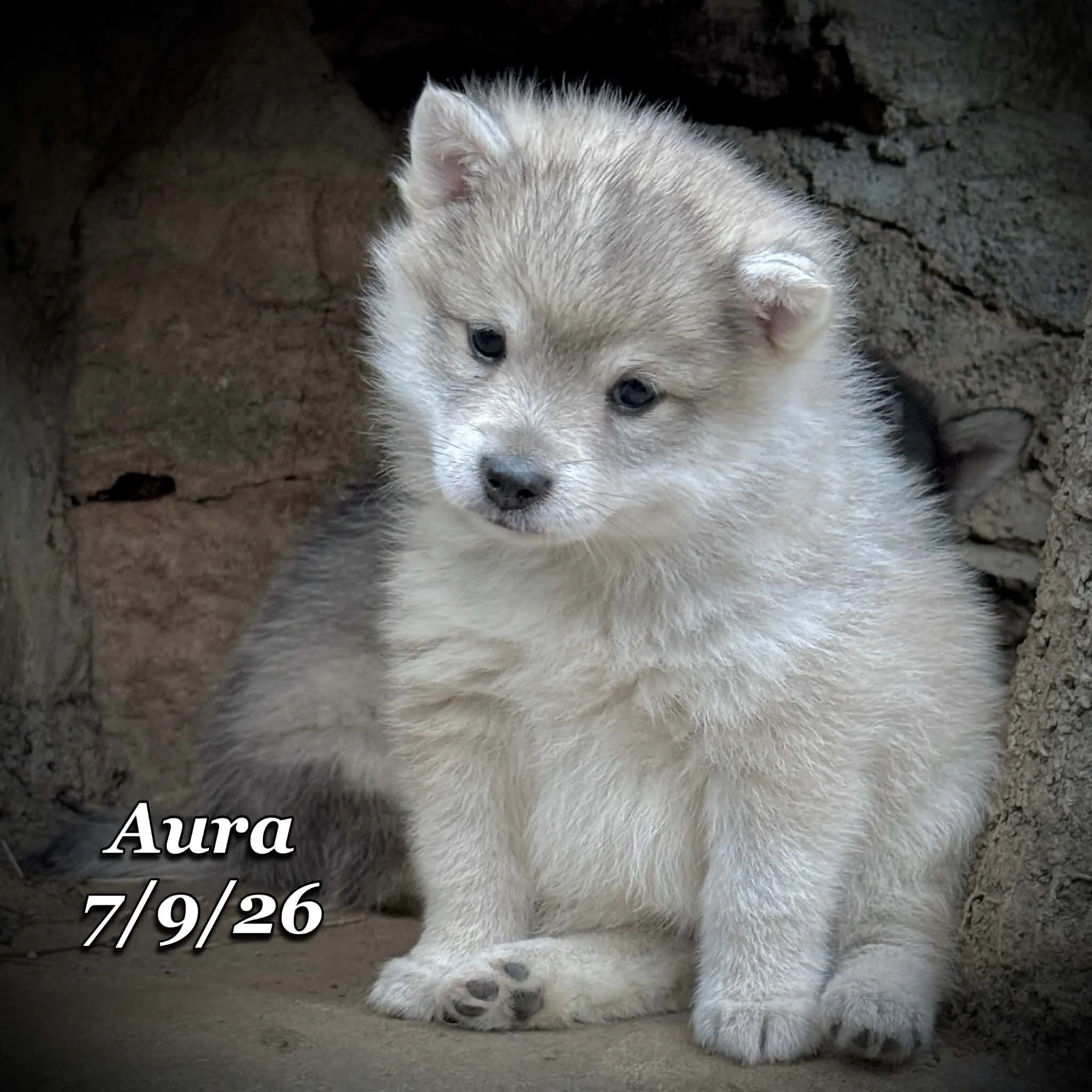 07-09 aura e9bf79fb-f532-4900-9228-68ae06b2eb8b.jfif