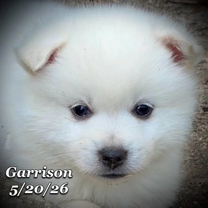 05-20 z garrison 73369144-2d48-42d2-8a82-6118373873b5.jfif