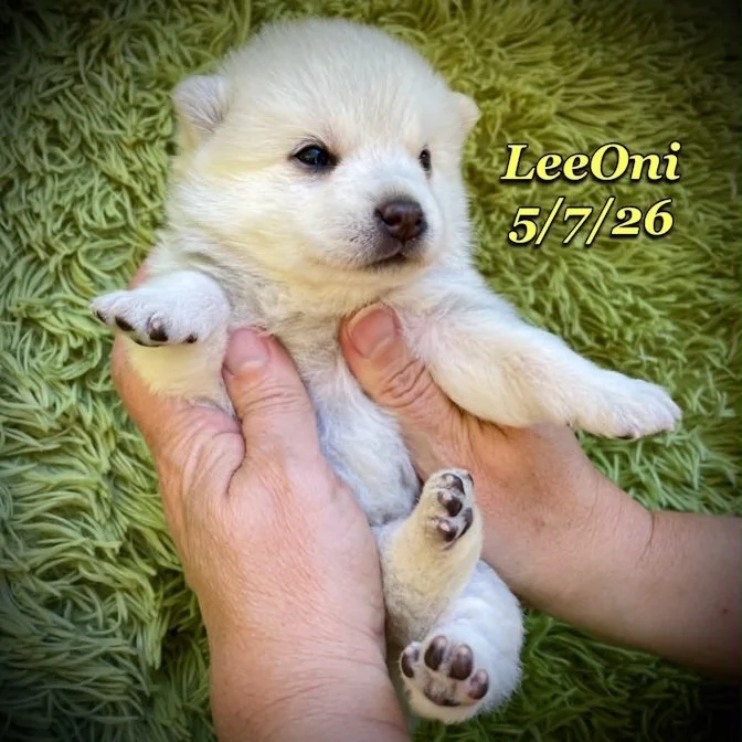 05-07 z leeoni 51e0e906-f6b3-4688-b458-5230bb73fd2b.jfif