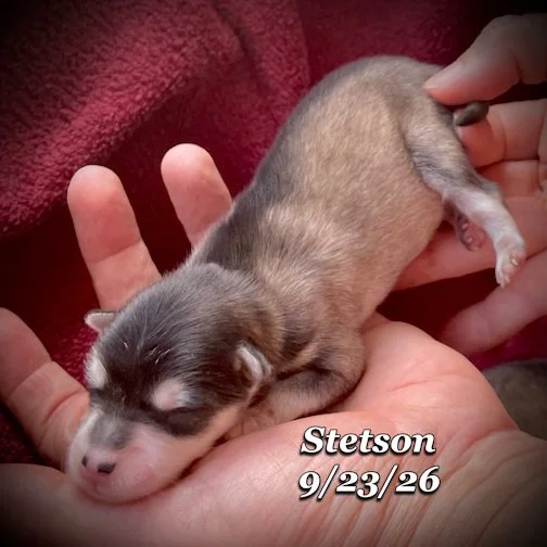 09-23 stetson 13.jpg