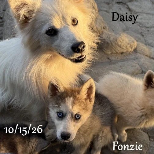 10-15 fonzie 03.jpg