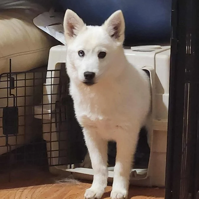 12-27 jake 6e828014-26e6-4ff8-ac4a-82f6a7626ed5.jfif