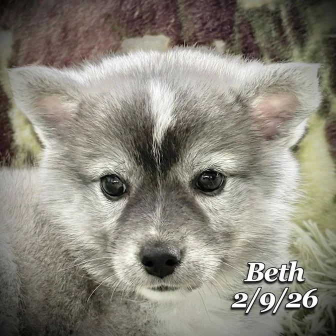 02-09 s beth 6e783615-51e0-43b5-9247-8533ce6f5852.jfif