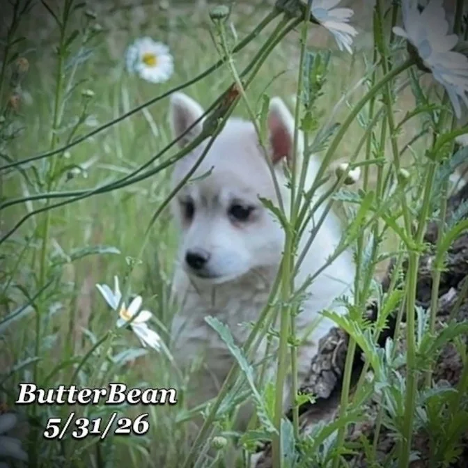 05-31 j butter c99ad592-2336-4ade-b2d0-9767635fdf2d.jpg